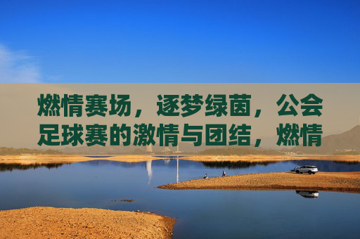 燃情赛场，逐梦绿茵，公会足球赛的激情与团结，燃情赛场，逐梦绿茵，公会足球赛的激情与团结