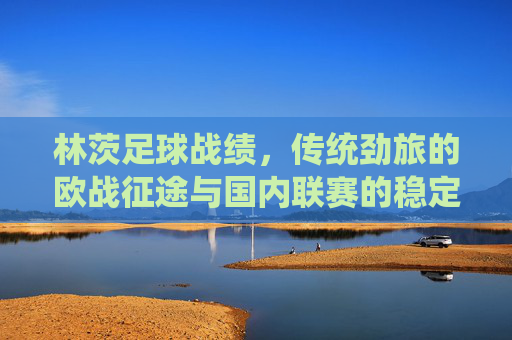 林茨足球战绩,传统劲旅的欧战征途与国内联赛的稳定表现