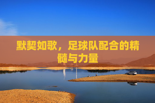 默契如歌，足球队配合的精髓与力量