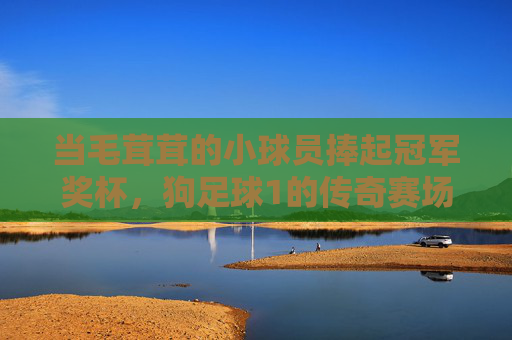 当毛茸茸的小球员捧起冠军奖杯，狗足球1的传奇赛场与荣耀时刻