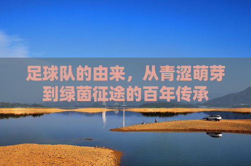 足球队的由来，从青涩萌芽到绿茵征途的百年传承