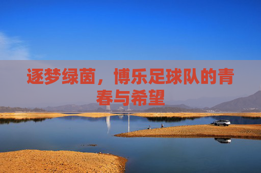 逐梦绿茵,博乐足球队的青春与希望