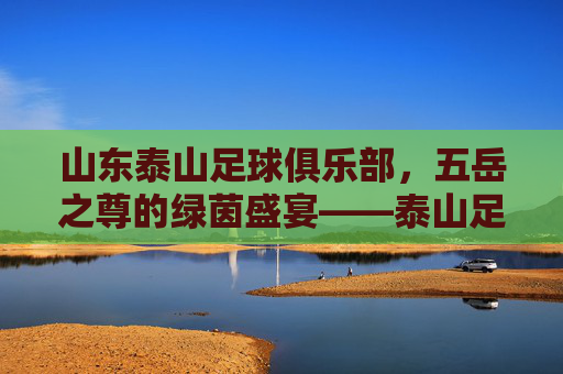 山东泰山足球俱乐部,五岳之尊的绿茵盛宴——泰山足球票的购买指南与观赛体验