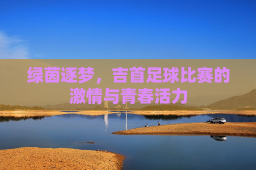 绿茵逐梦,吉首足球比赛的激情与青春活力