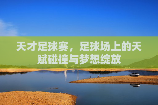 天才足球赛，足球场上的天赋碰撞与梦想绽放