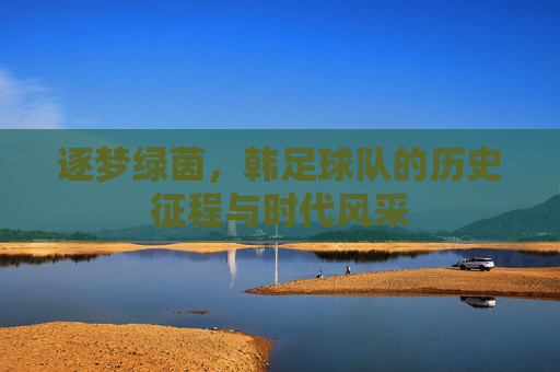 逐梦绿茵，韩足球队的历史征程与时代风采