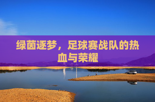 绿茵逐梦，足球赛战队的热血与荣耀