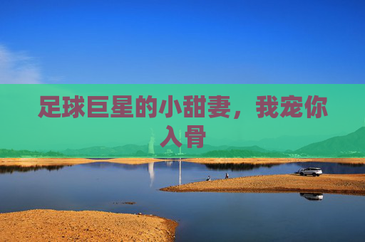 足球巨星的小甜妻，我宠你入骨