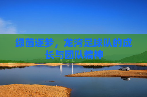 绿茵逐梦，龙湾足球队的成长与团队精神