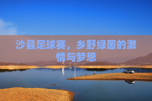 沙县足球赛，乡野绿茵的激情与梦想