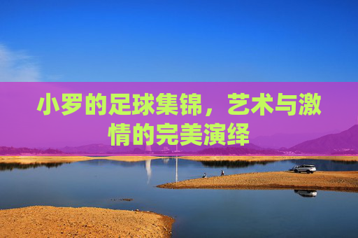 小罗的足球集锦,艺术与激情的完美演绎