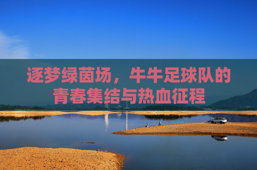 逐梦绿茵场,牛牛足球队的青春集结与热血征程