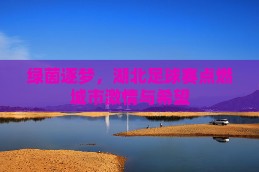 绿茵逐梦，湖北足球赛点燃城市激情与希望