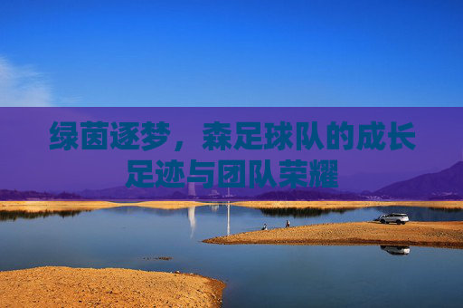 绿茵逐梦，森足球队的成长足迹与团队荣耀