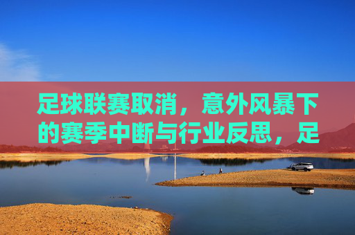 足球联赛取消,意外风暴下的赛季中断与行业反思,足球联赛取消,意外风暴下的赛季中断与行业反思