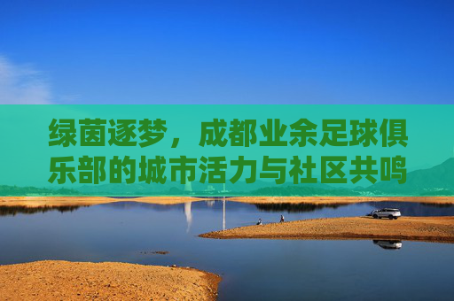 绿茵逐梦，成都业余足球俱乐部的城市活力与社区共鸣