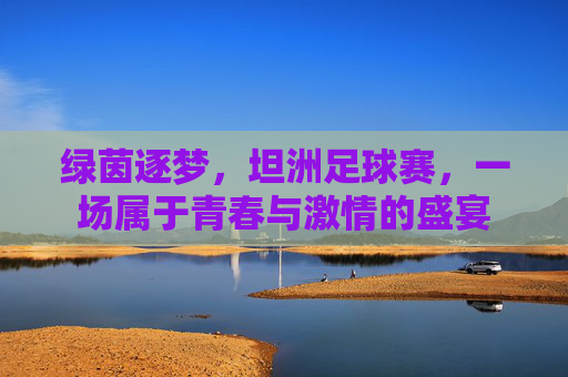 绿茵逐梦,坦洲足球赛,一场属于青春与激情的盛宴