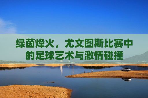 绿茵烽火,尤文图斯比赛中的足球艺术与激情碰撞