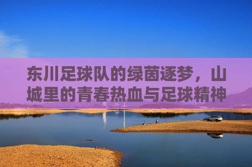 东川足球队的绿茵逐梦,山城里的青春热血与足球精神
