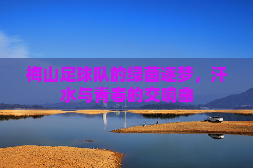 梅山足球队的绿茵逐梦,汗水与青春的交响曲
