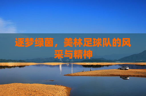 逐梦绿茵,美林足球队的风采与精神