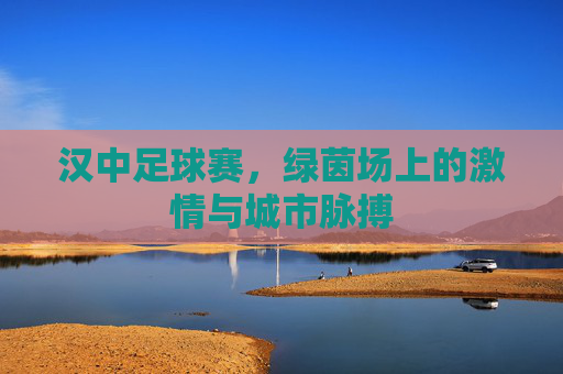汉中足球赛，绿茵场上的激情与城市脉搏