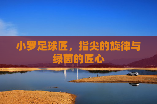 小罗足球匠,指尖的旋律与绿茵的匠心