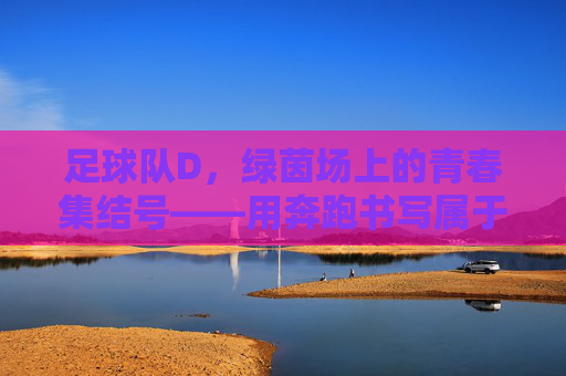 足球队D,绿茵场上的青春集结号——用奔跑书写属于我们的足球故事,足球队D,绿茵场上的青春集结号——用奔跑书写属于我们的足球故事