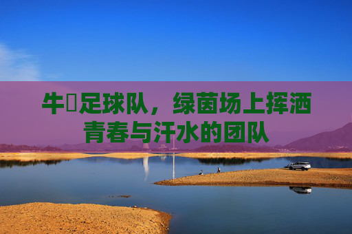 牛犇足球队,绿茵场上挥洒青春与汗水的团队