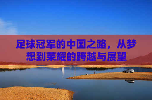 足球冠军的中国之路,从梦想到荣耀的跨越与展望