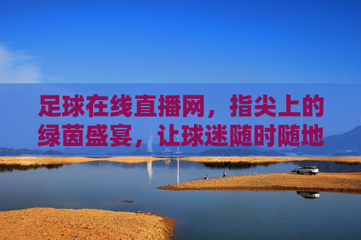 足球在线直播网,指尖上的绿茵盛宴,让球迷随时随地感受激情