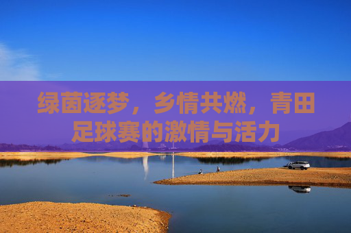 绿茵逐梦，乡情共燃，青田足球赛的激情与活力