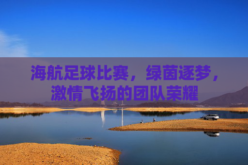 海航足球比赛,绿茵逐梦,激情飞扬的团队荣耀