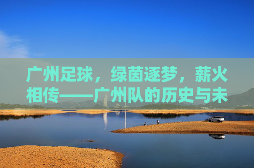 广州足球,绿茵逐梦,薪火相传——广州队的历史与未来