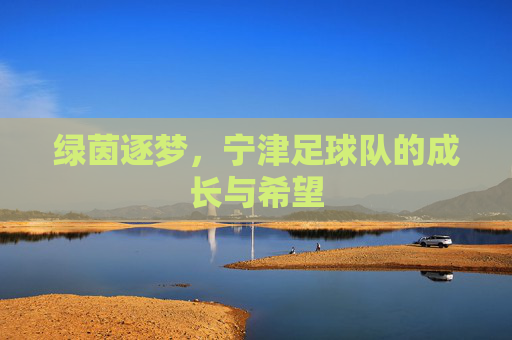 绿茵逐梦，宁津足球队的成长与希望