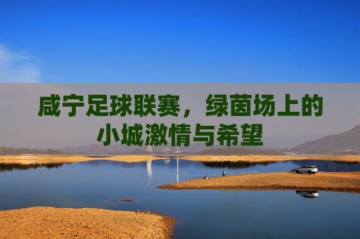 咸宁足球联赛，绿茵场上的小城激情与希望