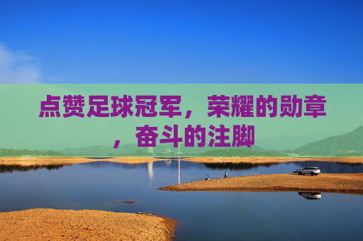点赞足球冠军，荣耀的勋章，奋斗的注脚