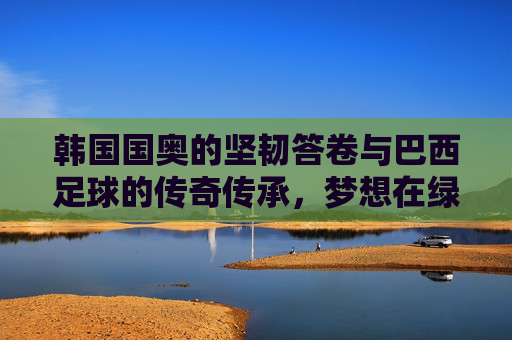 韩国国奥的坚韧答卷与巴西足球的传奇传承,梦想在绿茵场上交汇的碰撞与升华