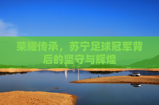 荣耀传承,苏宁足球冠军背后的坚守与辉煌