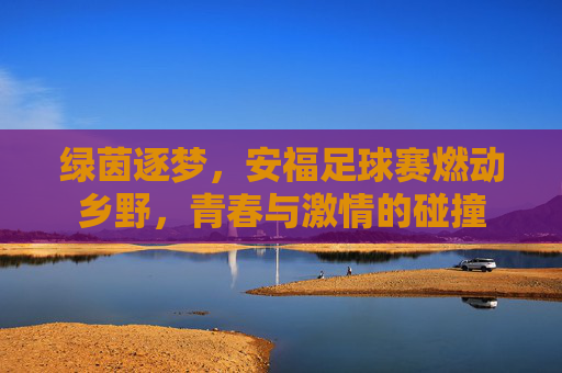 绿茵逐梦，安福足球赛燃动乡野，青春与激情的碰撞