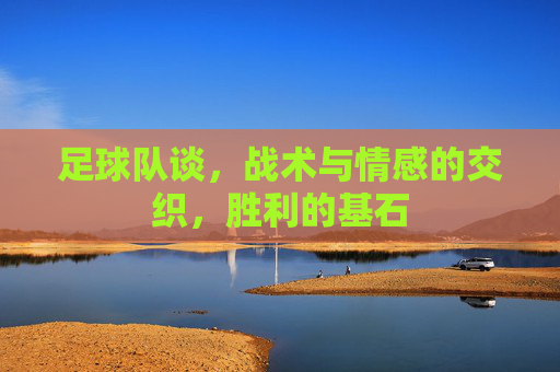 足球队谈，战术与情感的交织，胜利的基石