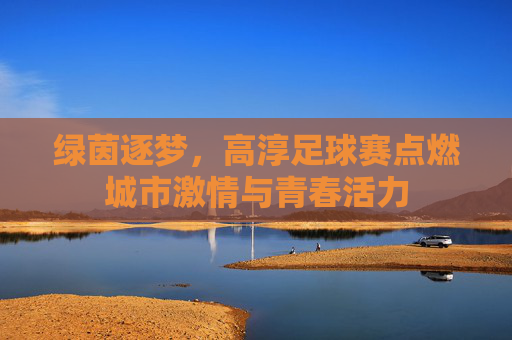 绿茵逐梦,高淳足球赛点燃城市激情与青春活力