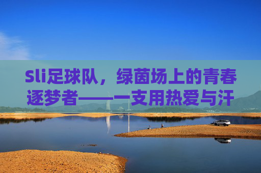 Sli足球队，绿茵场上的青春逐梦者——一支用热爱与汗水浇灌的年轻力量，Sli足球队，绿茵场上的青春逐梦者——用热爱与汗水浇灌的年轻力量