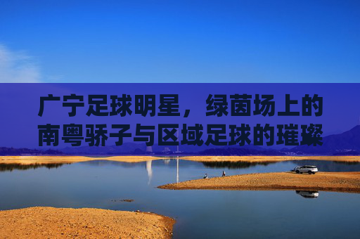 广宁足球明星,绿茵场上的南粤骄子与区域足球的璀璨星河