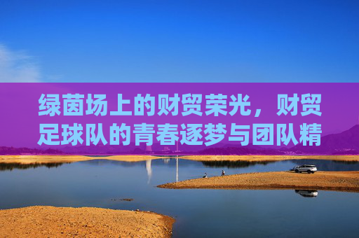 绿茵场上的财贸荣光,财贸足球队的青春逐梦与团队精神,绿茵场上的财贸荣光,财贸足球队的青春逐梦与团队精神