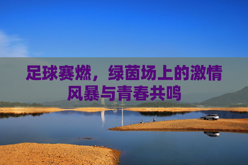 足球赛燃,绿茵场上的激情风暴与青春共鸣