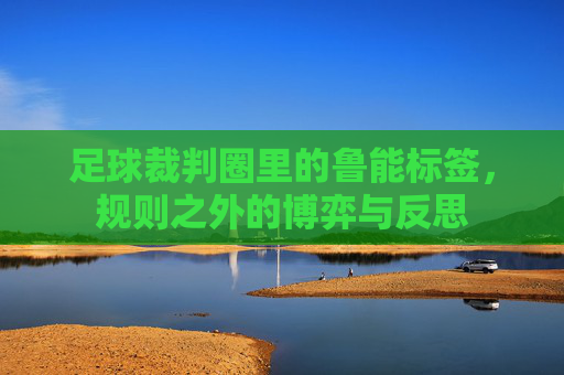 足球裁判圈里的鲁能标签,规则之外的博弈与反思