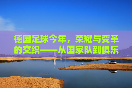 德国足球今年,荣耀与变革的交织——从国家队到俱乐部的转型探索