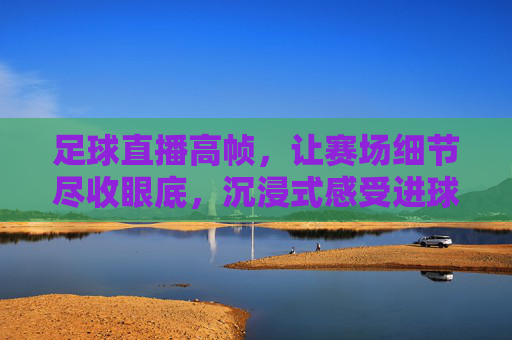 足球直播高帧,让赛场细节尽收眼底,沉浸式感受进球的震撼瞬间