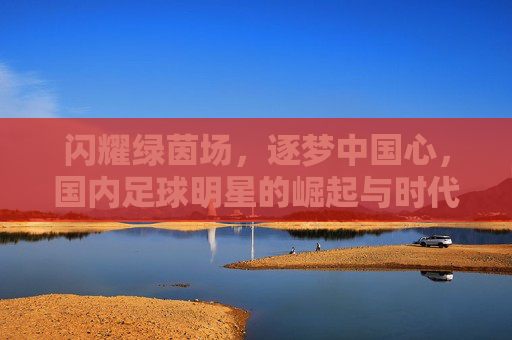 闪耀绿茵场,逐梦中国心,国内足球明星的崛起与时代印记